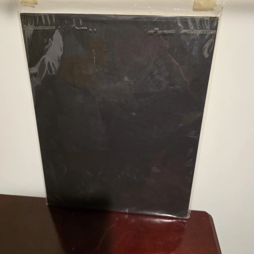 2004 Dallas Cowboys Team Photo Collage (Officially Licensed NFL Collectible) - Picture 2 of 7